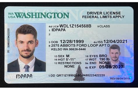 Introducing the Hidden World of Fake IDs